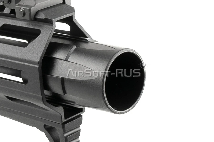 Карабин G&G ARP556 2.0 (DC-EGC-556-V02-BNB-NCM) [1]
